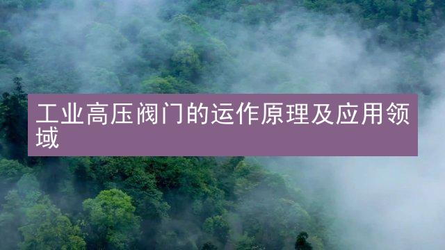 工业高压阀门的运作原理及应用领域