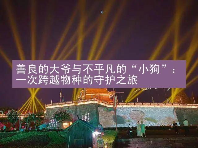 善良的大爷与不平凡的“小狗”：一次跨越物种的守护之旅