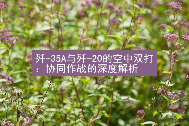 歼-35A与歼-20的空中双打：协同作战的深度解析