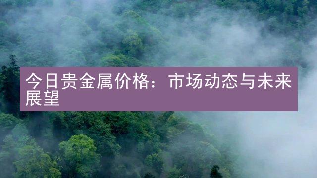 今日贵金属价格：市场动态与未来展望