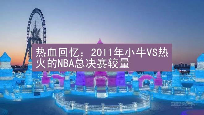 热血回忆：2011年小牛VS热火的NBA总决赛较量