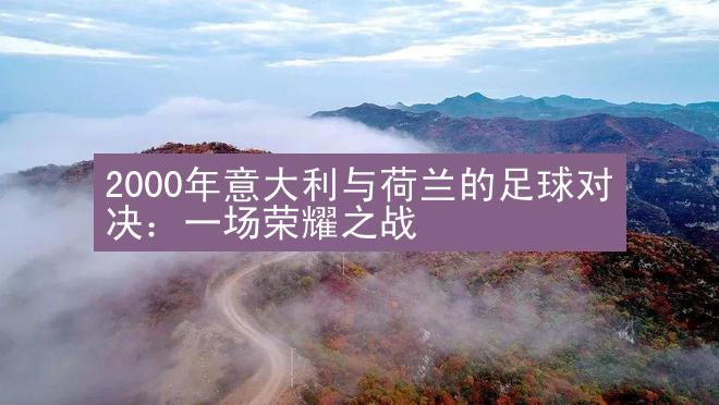 2000年意大利与荷兰的足球对决：一场荣耀之战