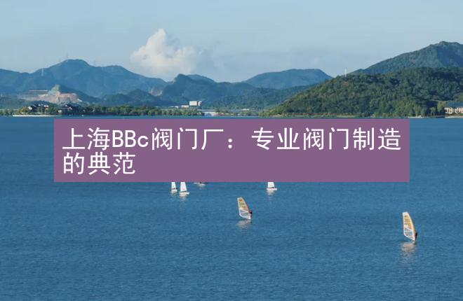 上海BBc阀门厂：专业阀门制造的典范