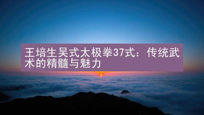 王培生吴式太极拳37式：传统武术的精髓与魅力