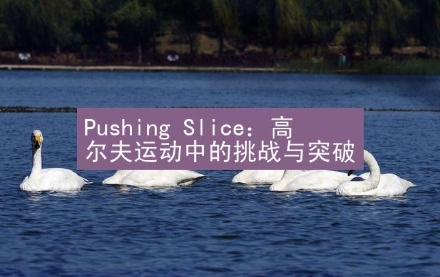 Pushing Slice：高尔夫运动中的挑战与突破