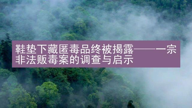 鞋垫下藏匿毒品终被揭露——一宗非法贩毒案的调查与启示