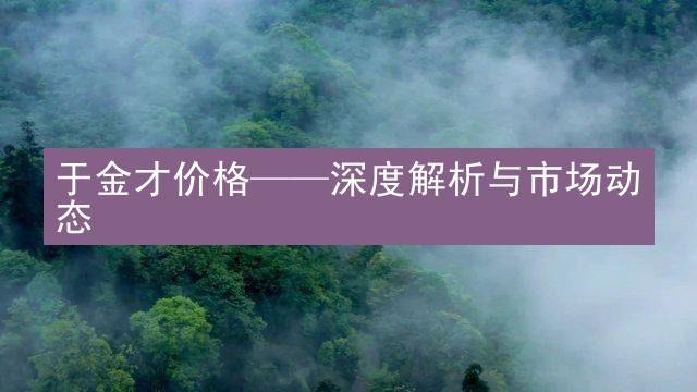 于金才价格——深度解析与市场动态