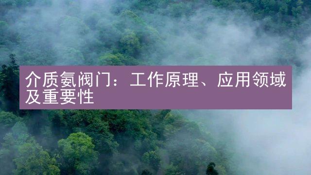 介质氨阀门：工作原理、应用领域及重要性