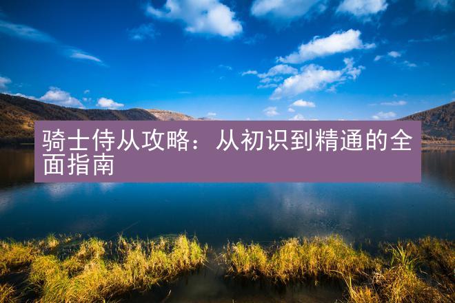 骑士侍从攻略：从初识到精通的全面指南