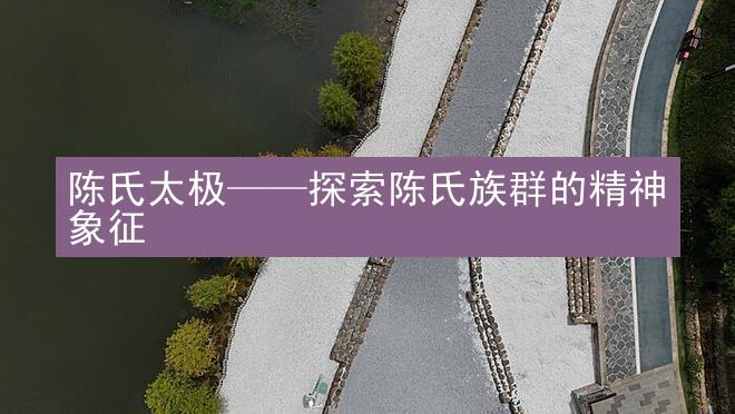 陈氏太极——探索陈氏族群的精神象征