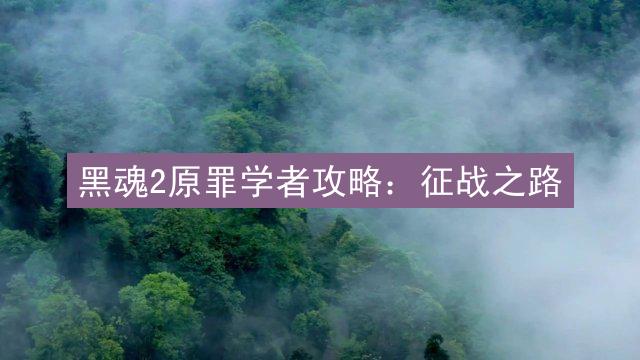 黑魂2原罪学者攻略：征战之路