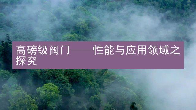 高磅级阀门——性能与应用领域之探究