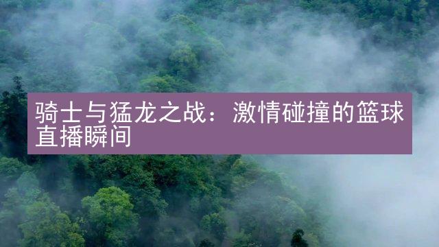 骑士与猛龙之战：激情碰撞的篮球直播瞬间