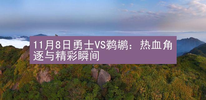 11月8日勇士VS鹈鹕：热血角逐与精彩瞬间