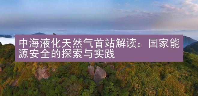 中海液化天然气首站解读：国家能源安全的探索与实践