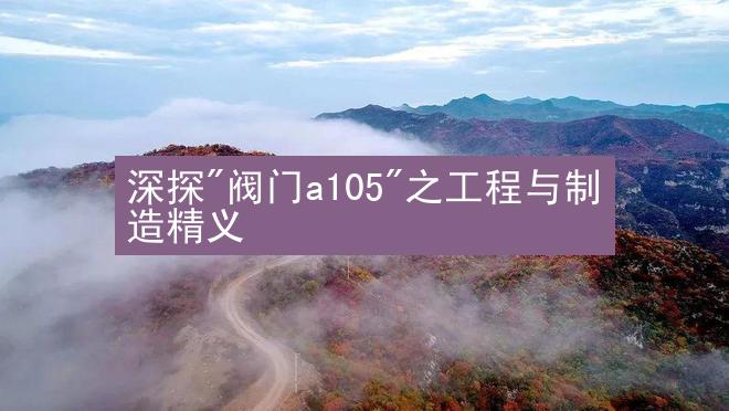 深探"阀门a105"之工程与制造精义