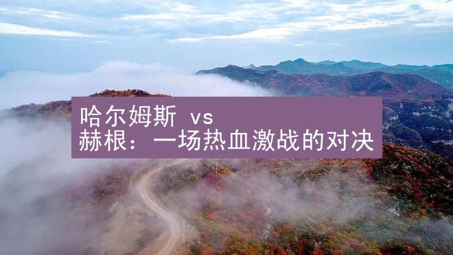 哈尔姆斯 vs 赫根：一场热血激战的对决